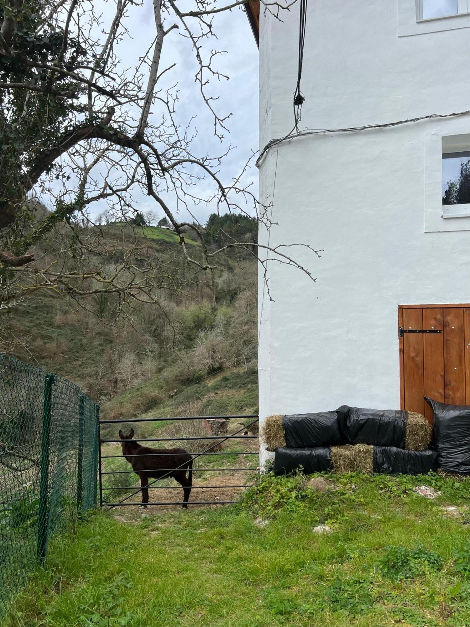 Fantastico Retiro Rural En El Corazon De Euskadi Διαμέρισμα Elgoibar Εξωτερικό φωτογραφία